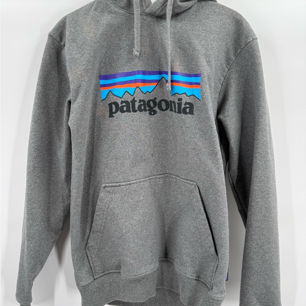 Patagonia Gray Hoodie